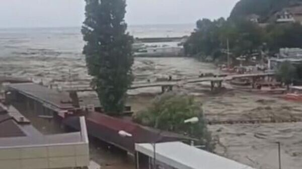    © Скриншот с видео очевидца