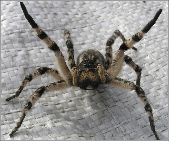 Привет, не покажете, где тут Кремль? Я в Москве впервые! 