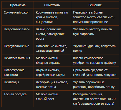 Проблемы хосты
