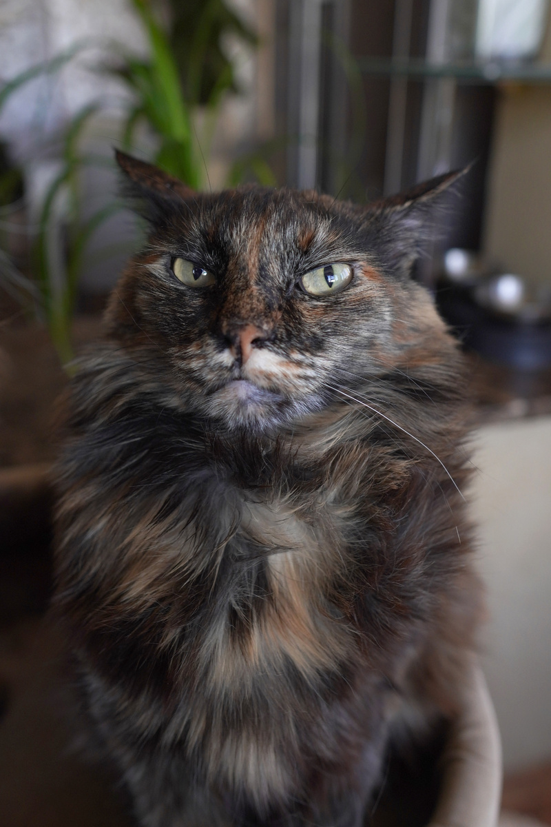 Мируся задумалась))