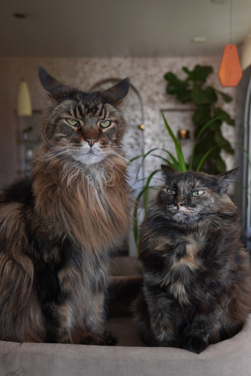 Лучик и Мируся в приподнятом настроении 😂 