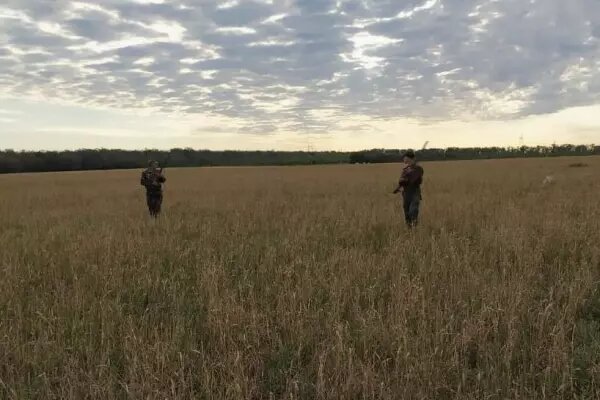    Фото: Правительство Ростовской области Веселовские вести