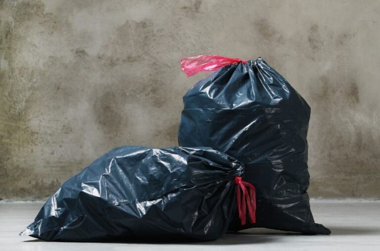    Фото: freepik.com/free-photo Александра Горохова