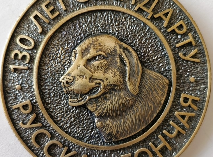 Нижегородские гончие в первой четверти 21 века