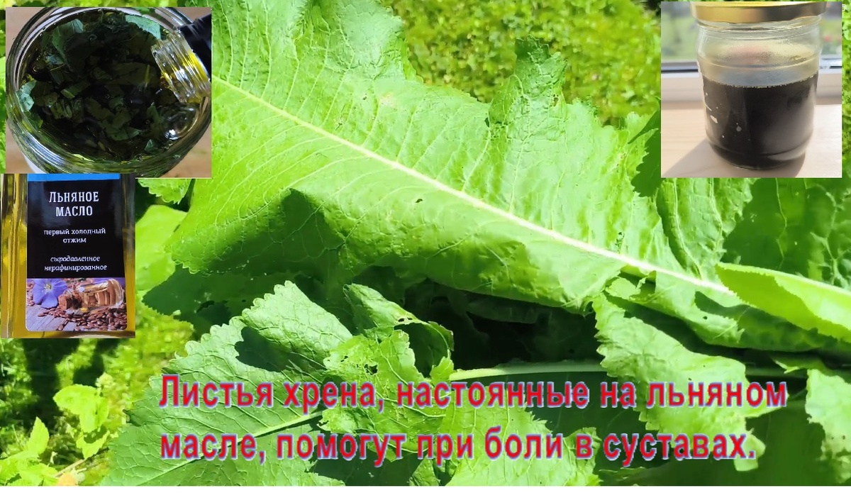 Фото из личного архива