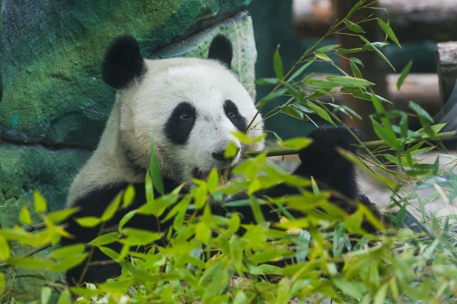    Наталья Шатохина/NEWS.ru