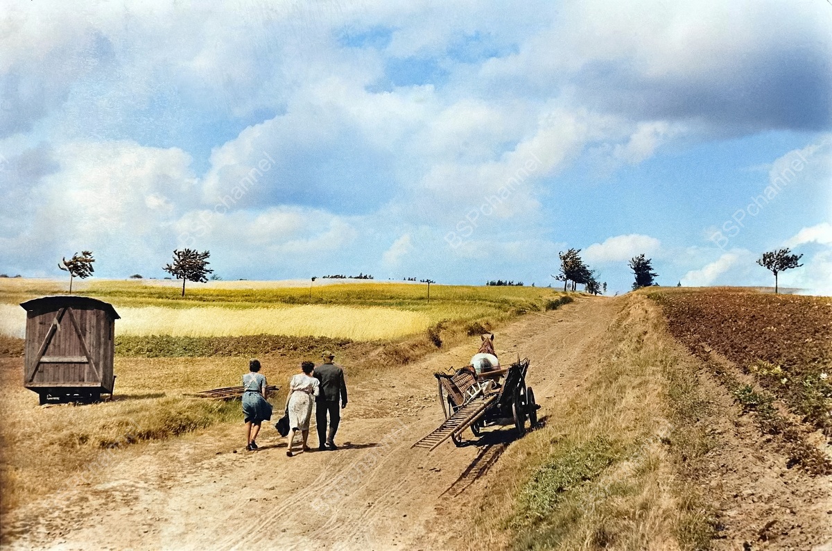 Фотограф: Людвиг Ширмер