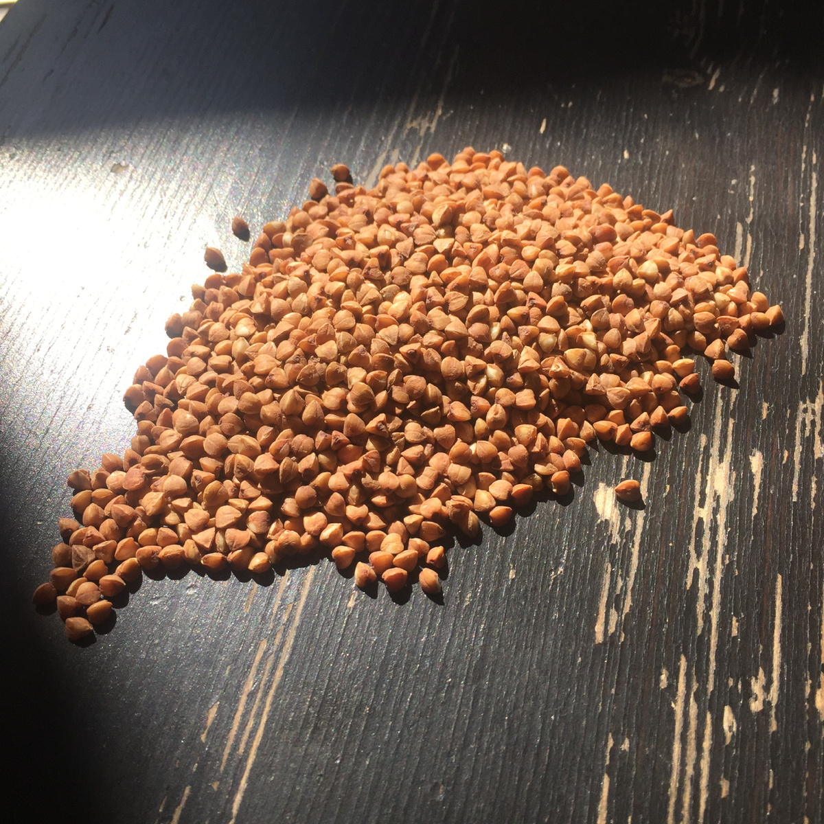 Гречка – царица круп