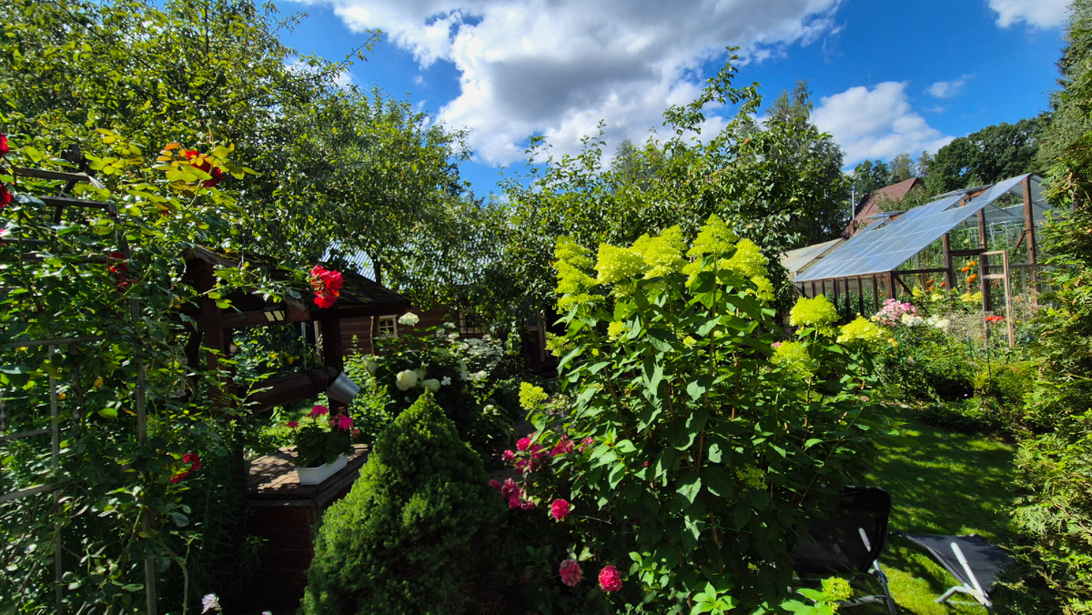 Солнечный день 3 августа 2025.