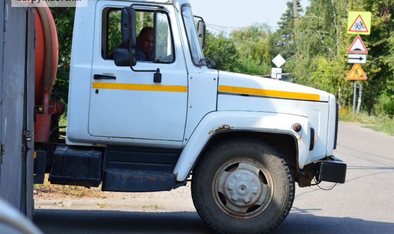 Фото автора. Лето 2025. Станица. "Золото добытчик". 
