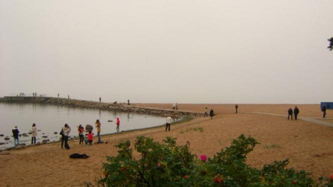 Золотой пляж в Зеленогорске