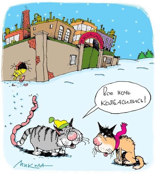 художник карикатур Микола