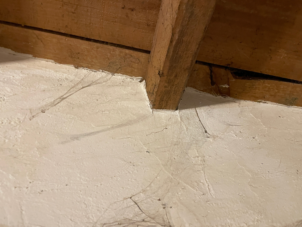 Несмотря на то, что я регулярно "подметаю" потолок щеткой, паутина тут же появляется снова