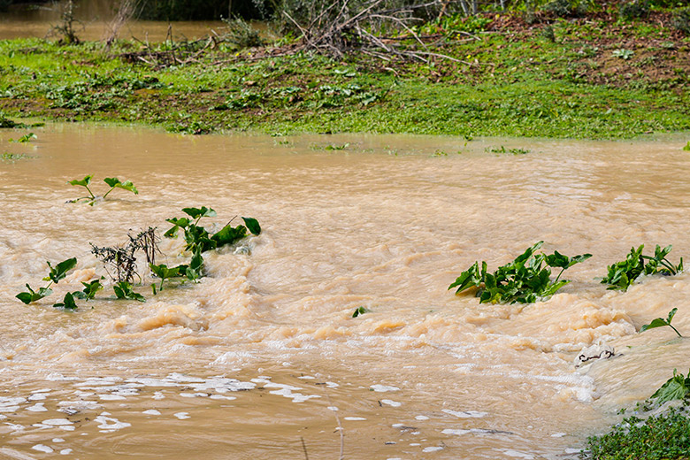    Joaquin Corchero/Global Look Press