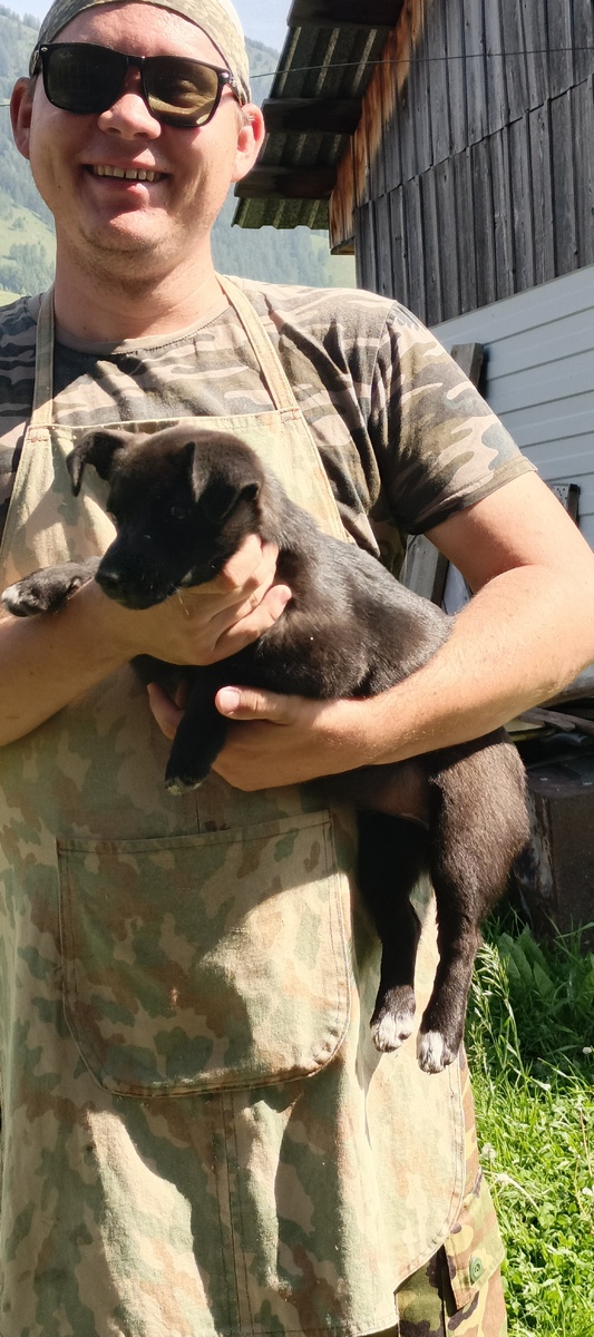 Грета новосёл. Очень активная.