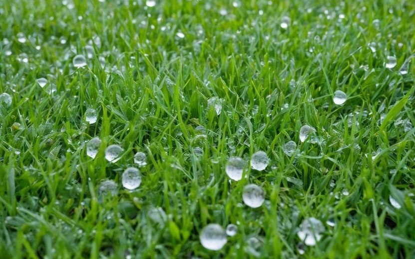    Жителей Удмуртии предупредили о граде 3 августа