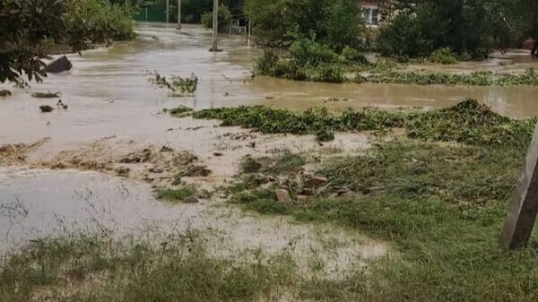    © РИА Новости