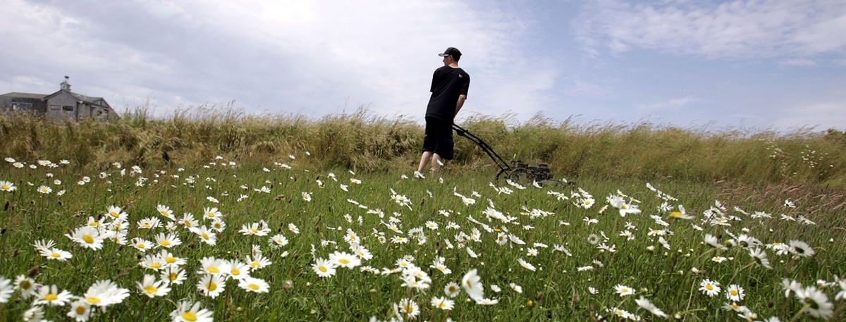    Автор фото: REUTERS