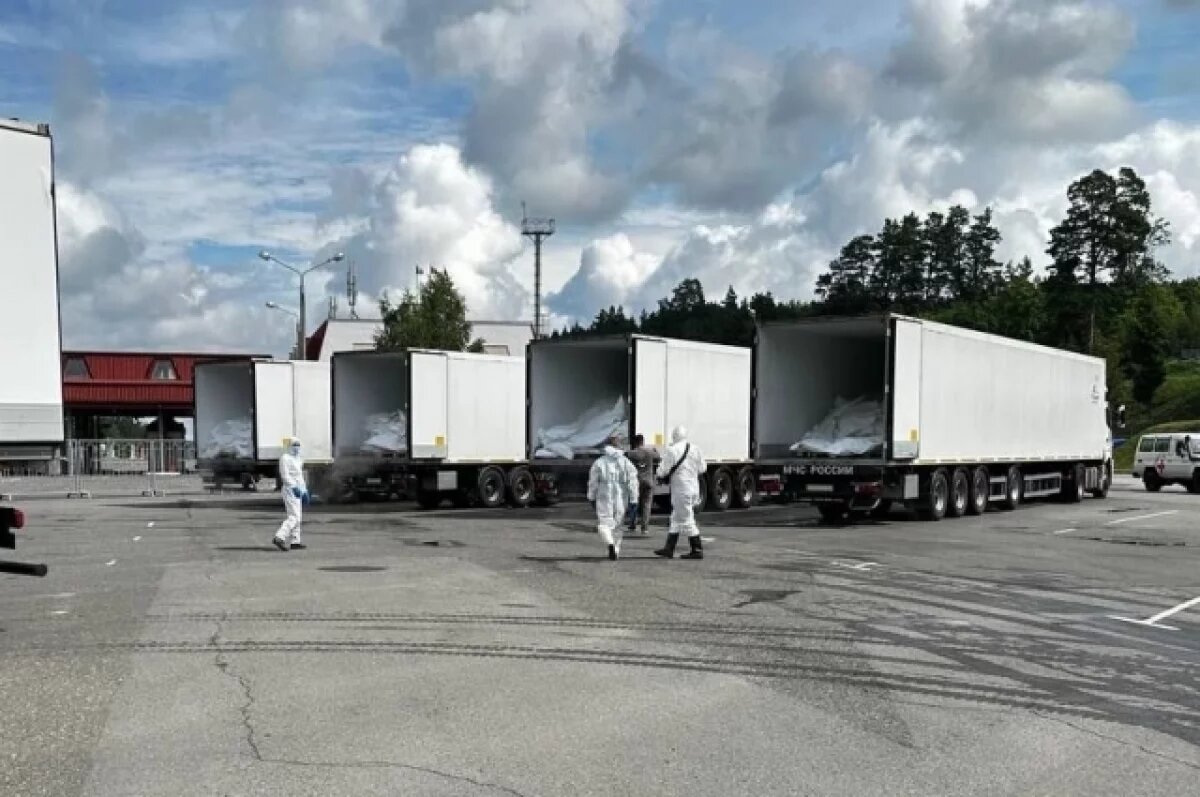    В США указали на реальные потери ВСУ после передачи тел погибших военных