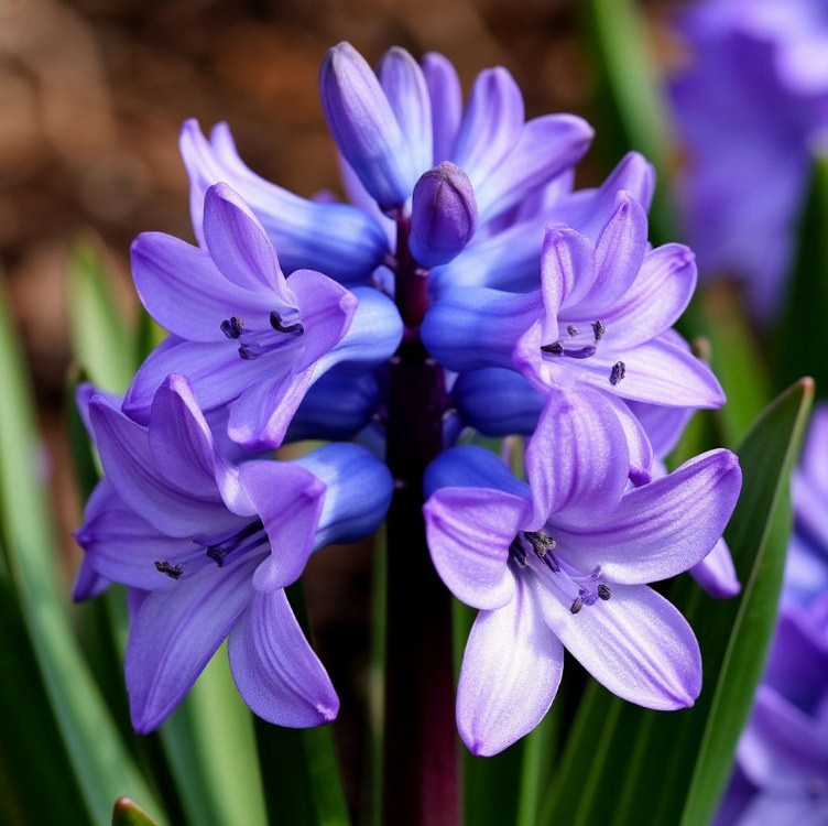 Создано в Шедеврум.