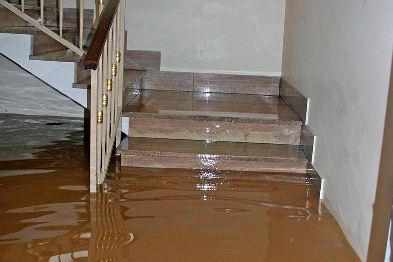    Shutterstock/FOTODOM