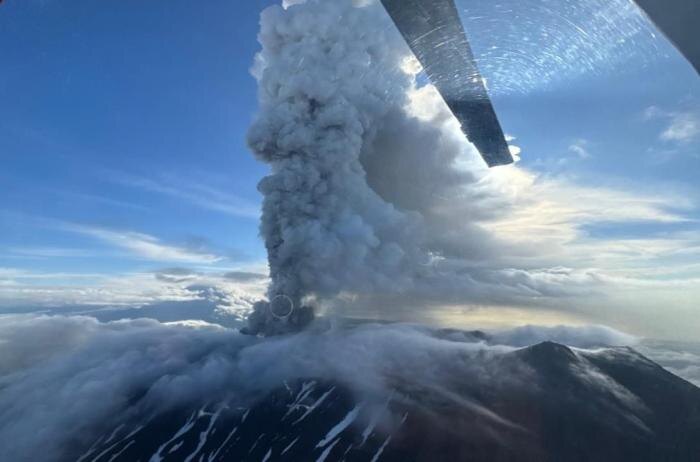     Фото: ИВиС ДВО РАН / Артём Шелдовицкий