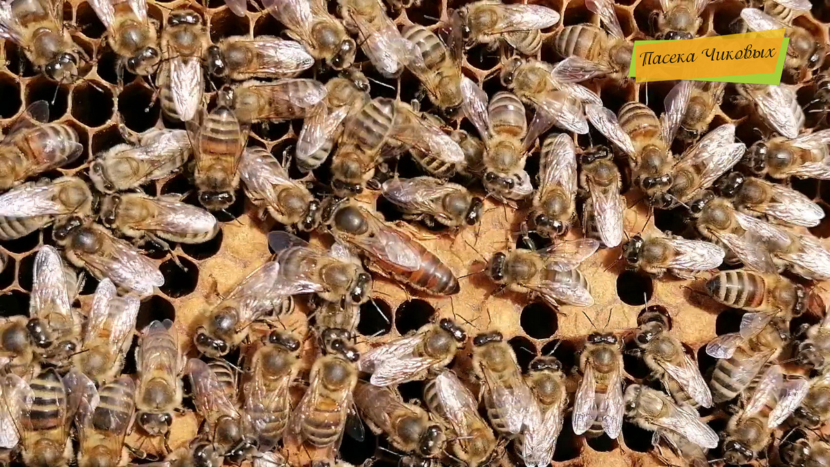 фото просто так...