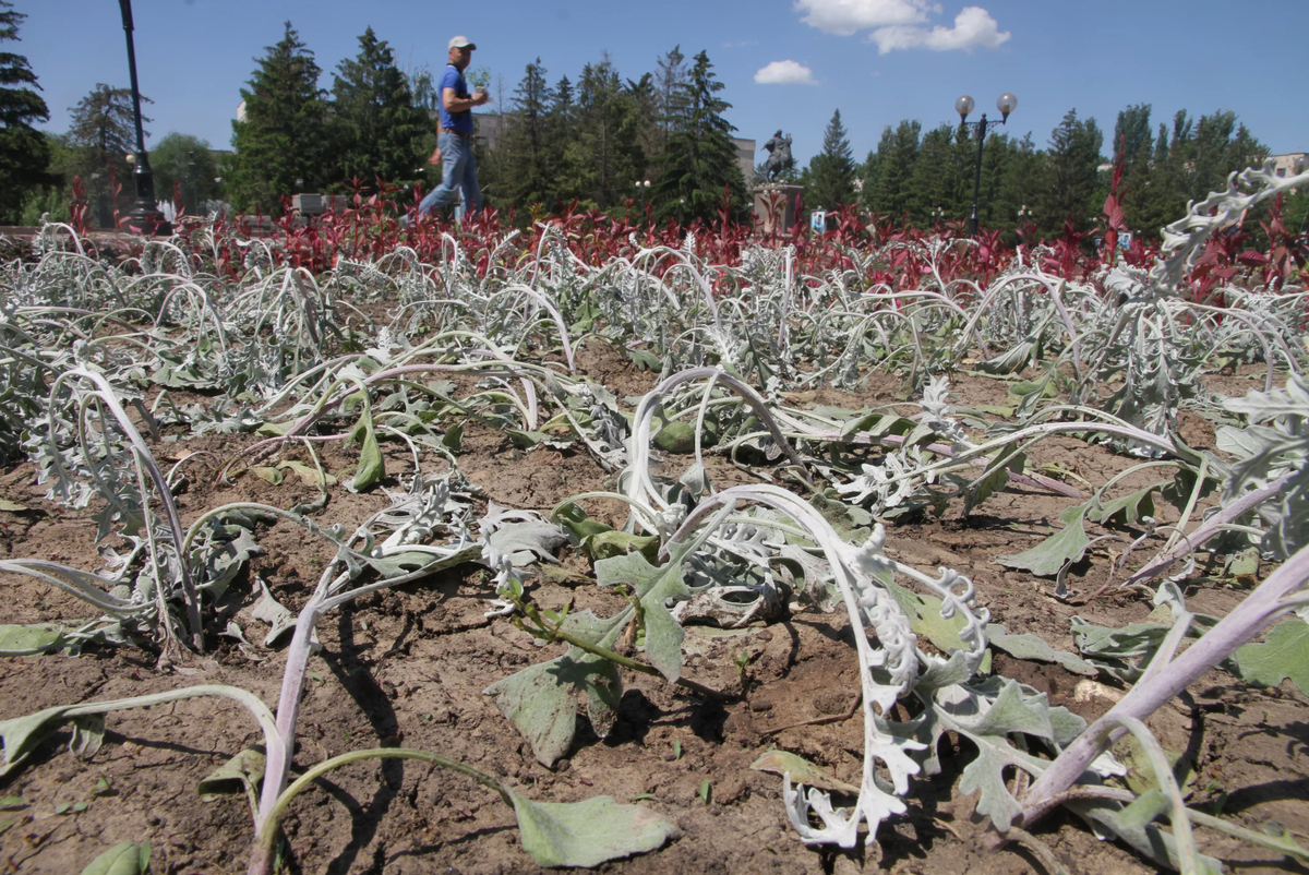 Источник фото: uralskweek.kz