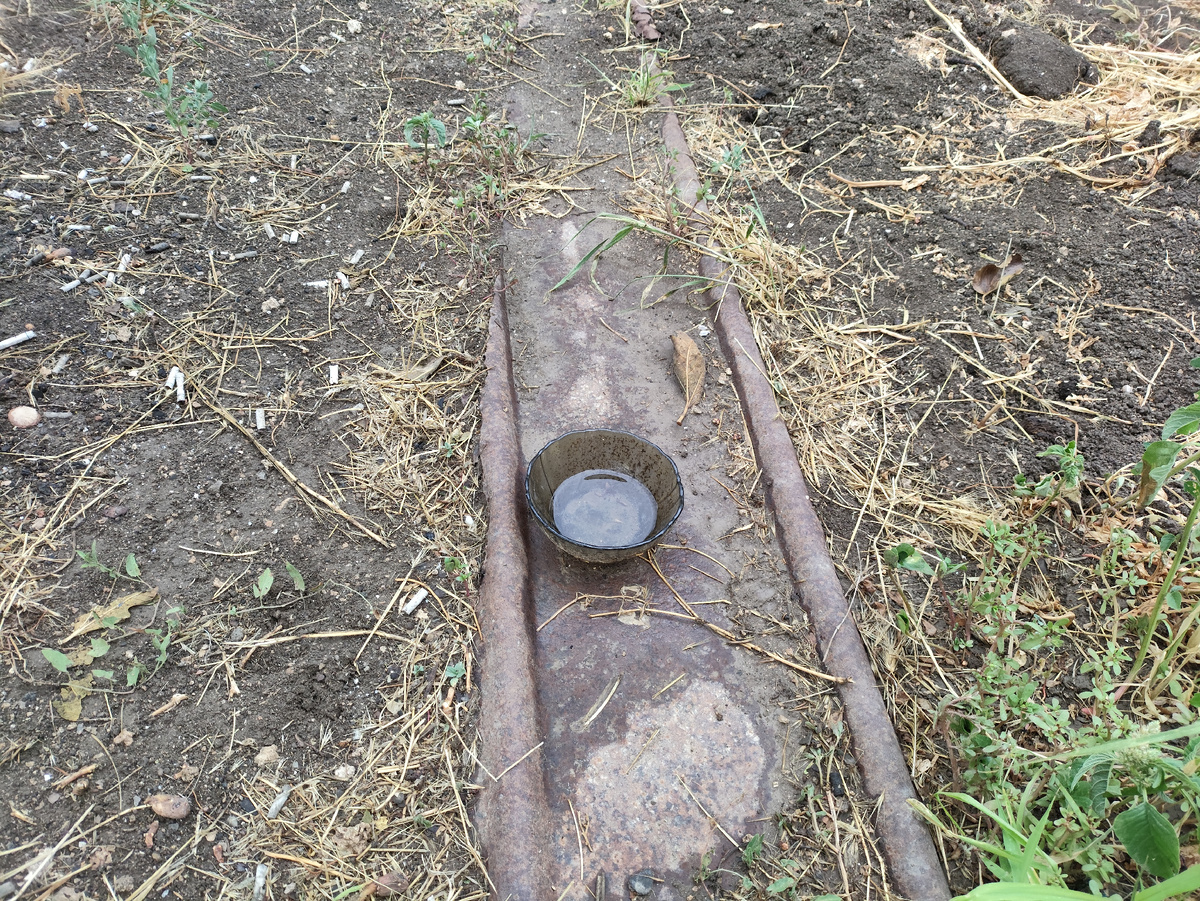 Слой воды в миске