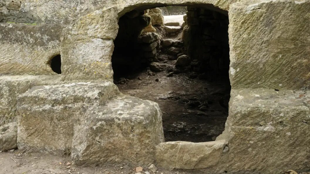    Michael Nitzschke/Globallookpress