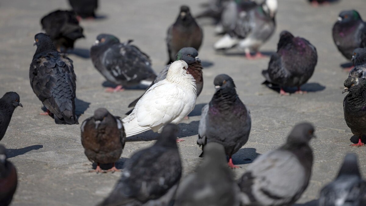    Фото: Федор Воронов / «Ямал-Медиа»