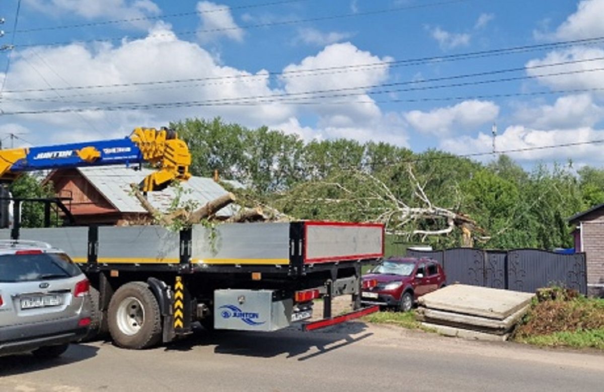    Упавшая береза проломила крышу частного дома на улице Володарского