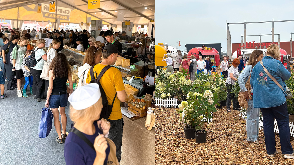 Истринский сырный фестиваль 2025