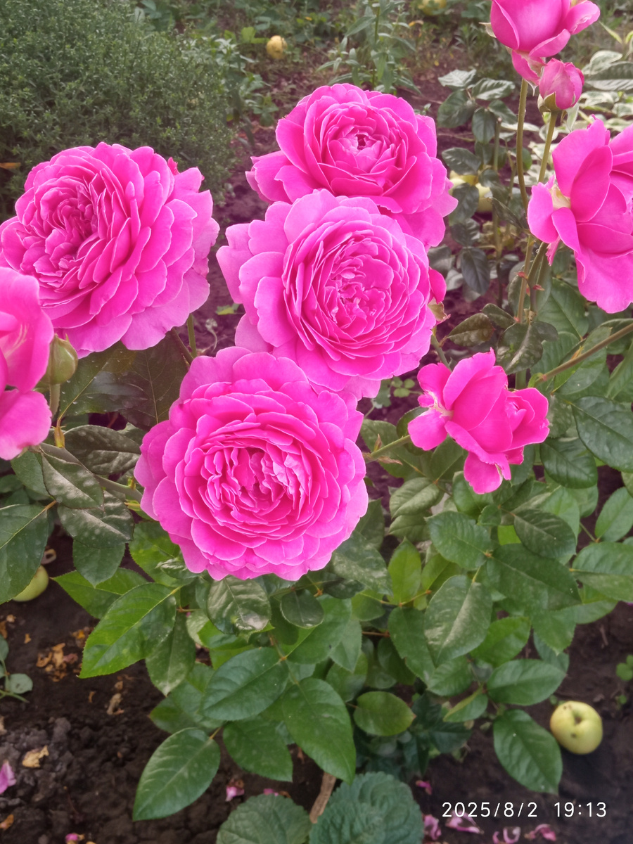 Фото личное