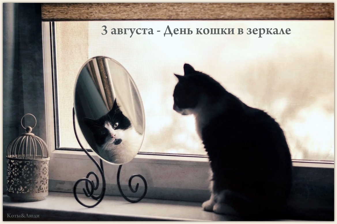 Коллаж автора. Источник фото: https://www.ateliora.com/pl/image/269332/photo-list/page-gallery-promising