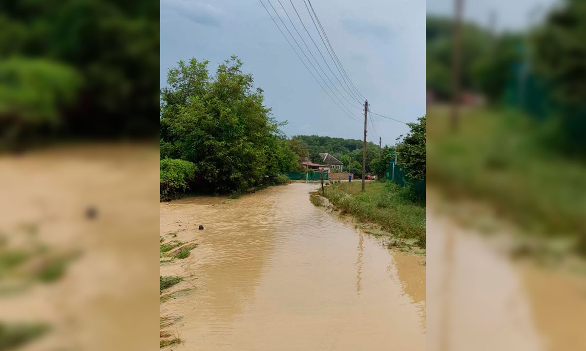    Фото t.me/sergey_belopolskyi