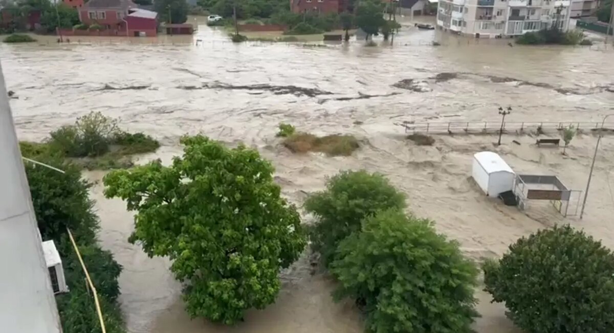    Новомихайловка. Фото: скриншот из видео в соцсетях