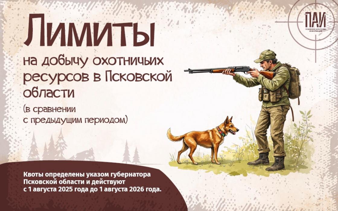 Новые охотничьи лимиты действуют в Псковской области: суть изменений в карточках
Фото: ПАИ