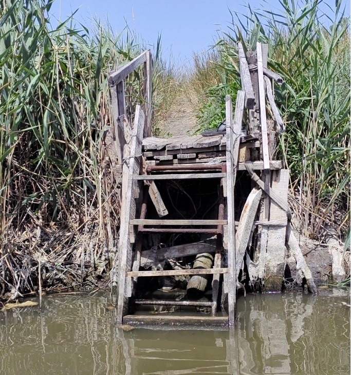Где-то там на дне волшебное средство от подагры. Наверное :) 