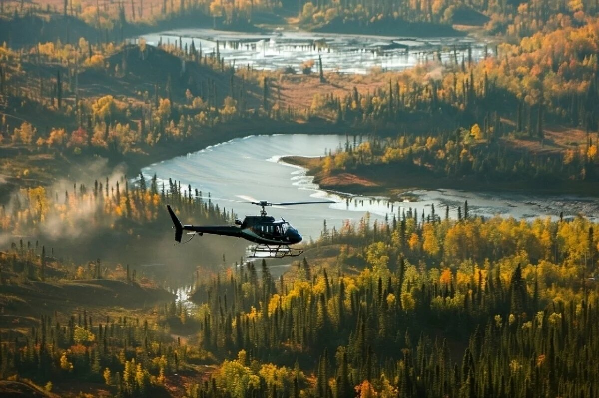    Уникальное устройство для посещения тайги на базе «Запорожца» продают в НСО