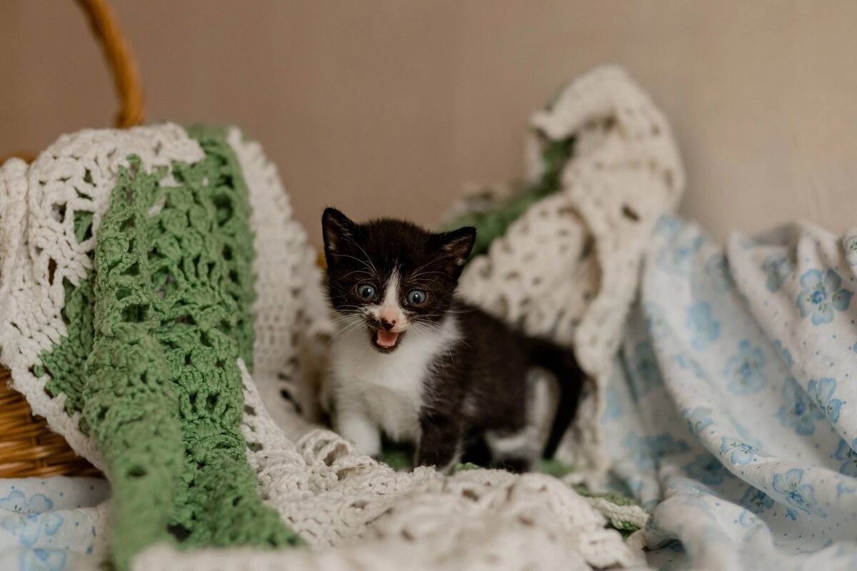 Хотя сразу ведь было всё понятно, что милотой и не пахнет😂