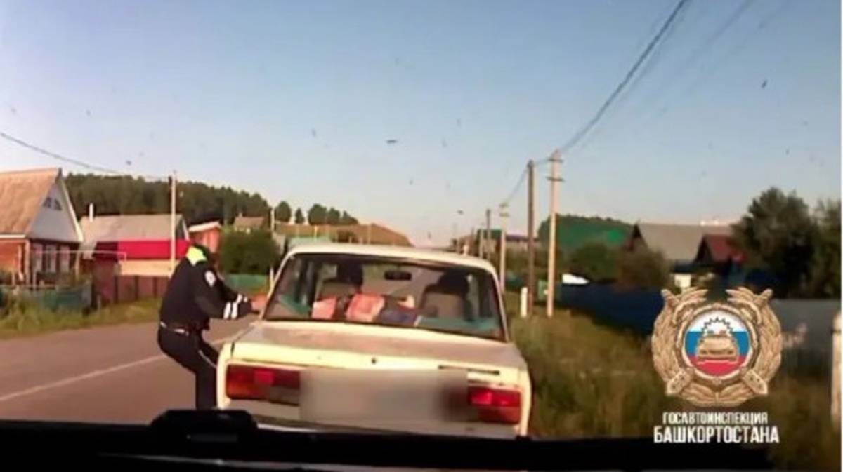    Фото: Telegram / Владимир Севастьянов