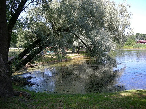 Уютный уголок Парка Победы