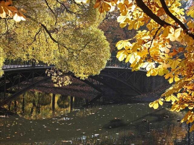 Уголок Парка Победы