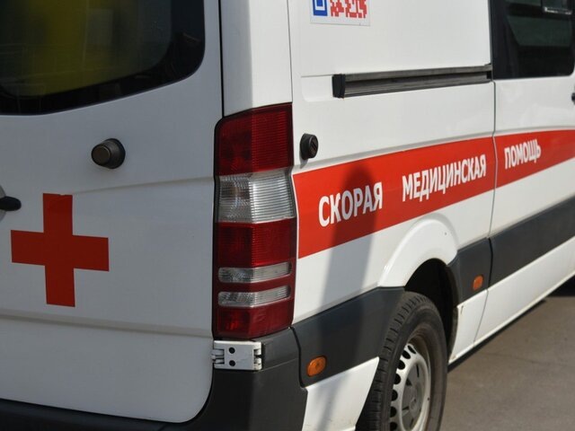    Фото: Москва 24/Антон Великжанин