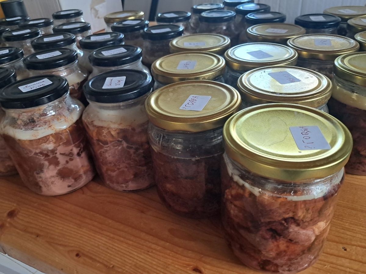 Тушёнка из свинины и говядины