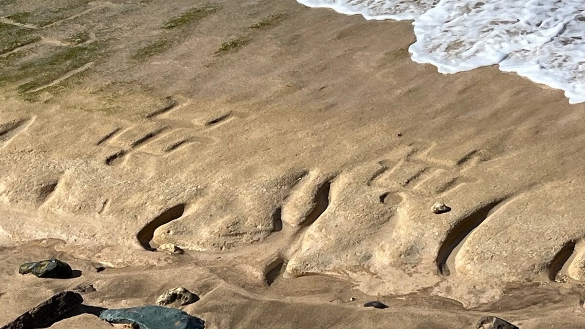 На картине изображены как человеческие фигуры, так и символы. Фото: Натан Уилкс