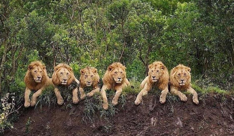 25 фотосвидетельств того, как быстро меняется реальный мир