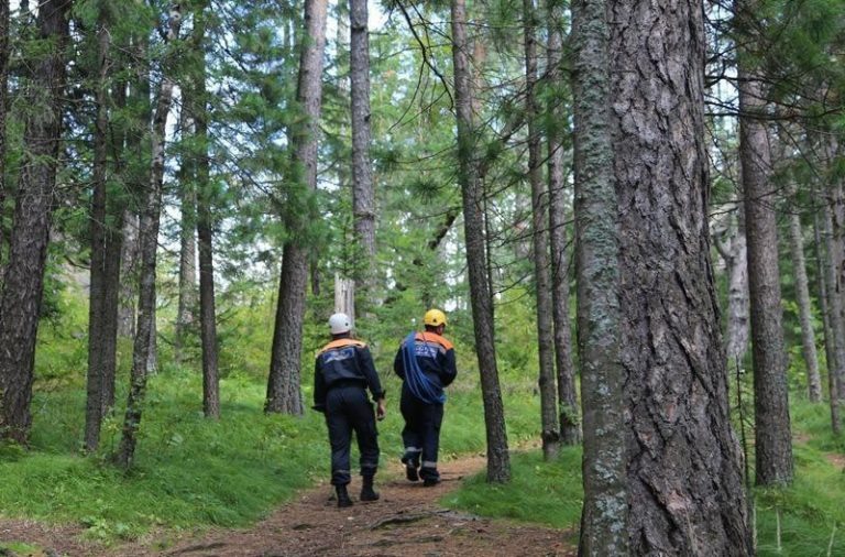    Фото из телеграма krasgochs Ольга Чистова