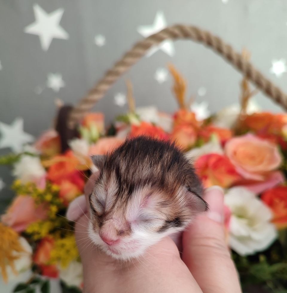 из архива питомника 